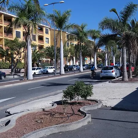 Apartment Palm 1